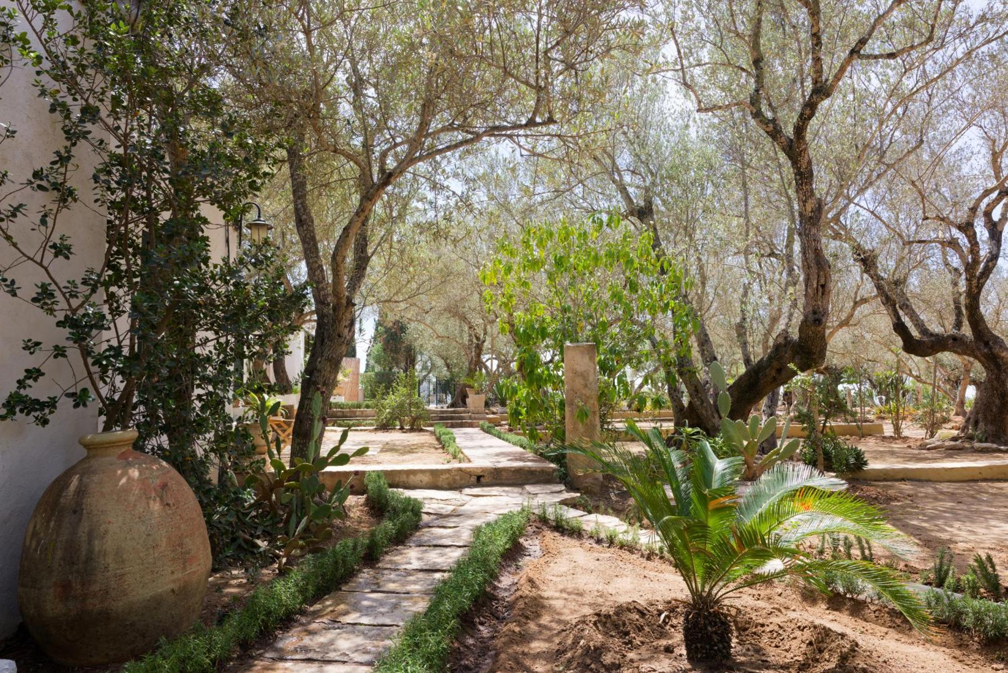 Si Brahim Studio Piscine, Sidi Bou Said Exterior photo